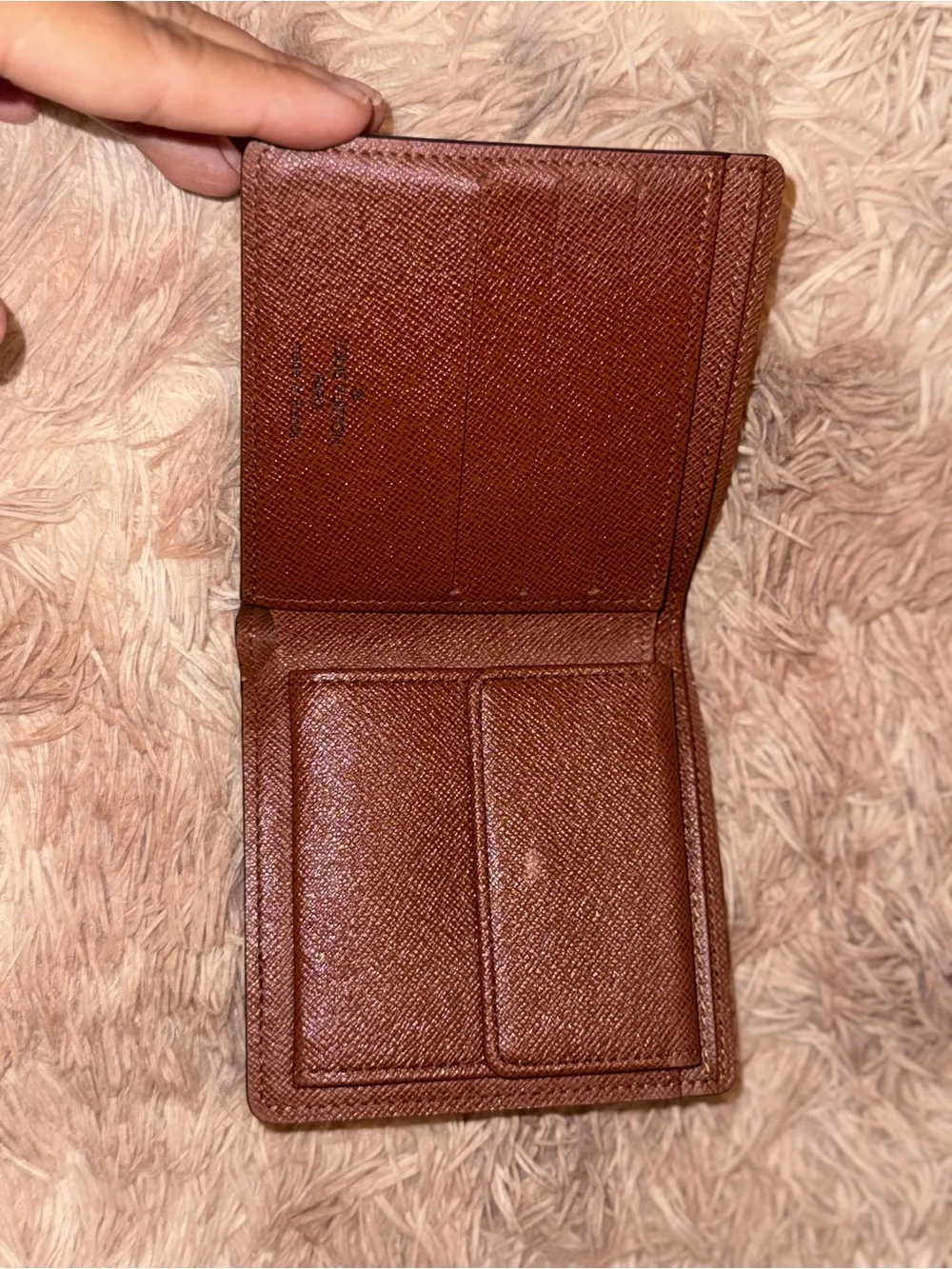 Louis Vuitton authentic louis